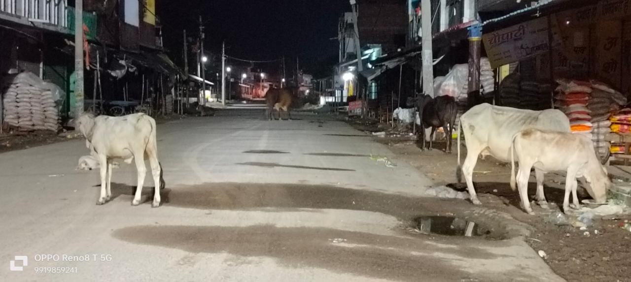 नगर पंचायत असोथर बनी गौशाला, कान में तेल डालकर बैठे ईओ