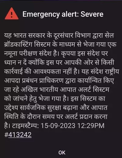 आपके फोन पर भी आया Emergency Alert ! तो अभी पढ़ें ये खबर