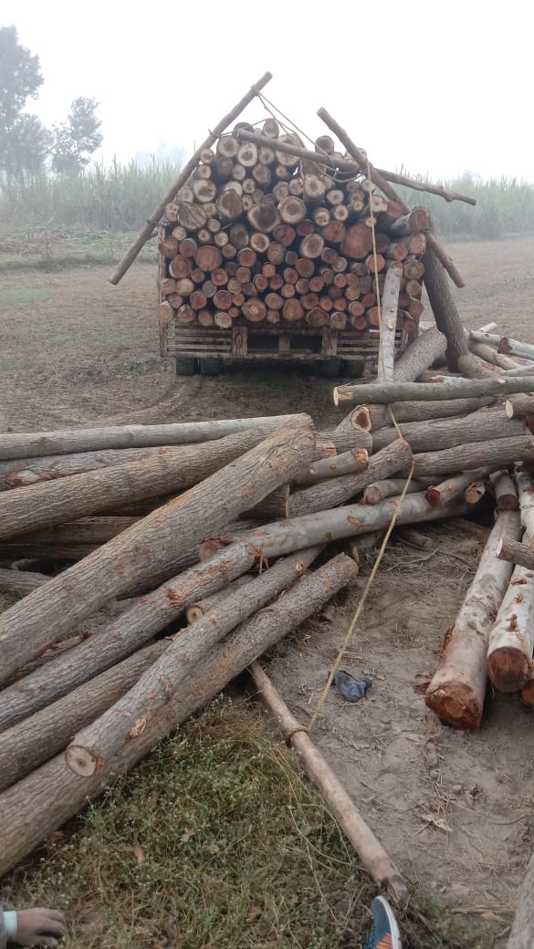 लकड़ी लेकर जा रही ट्रैक्टर ट्राली में अज्ञात वाहन ने मारी टक्कर टैक्टर चालक की मौत