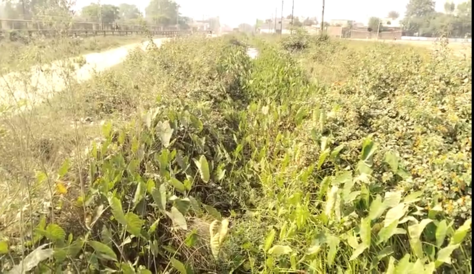 रोड नंबर 8 के नाले में पनप रही गंदगी को की सफाई को लेकर मुख्य चिकित्सा अधीक्षक से मिले नागरिक