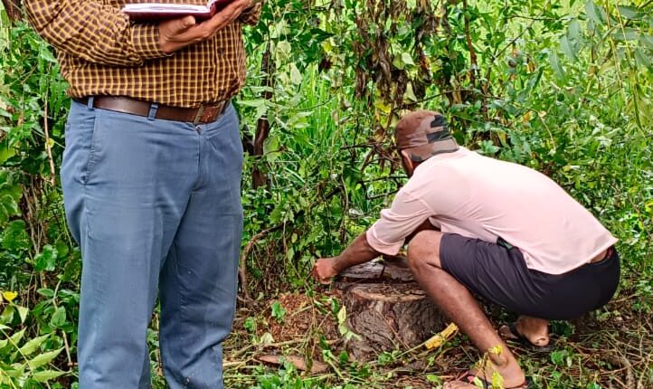 प्रतिबंध पेड़ काटने पर वन विभाग ने जुर्माना वसूला