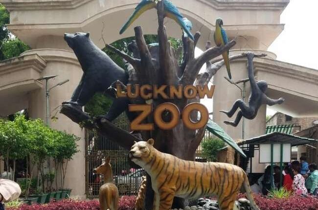 लखनऊ प्राणी उद्यान में लगा दर्शकों का जमावड़ा, बाल दिवस पर उमड़ी भारी भीड़