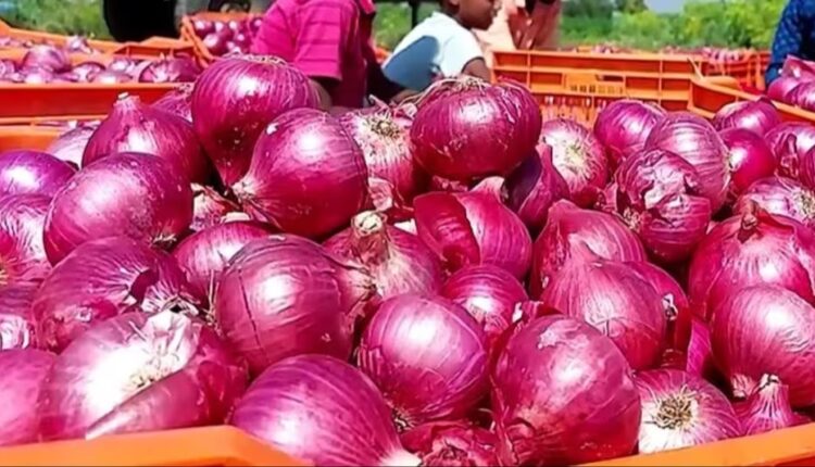 प्याज एक्सपोर्ट पर 31 मार्च तक जारी रहेगा प्रतिबंध, केंद्र सरकार ने कही ये बात 